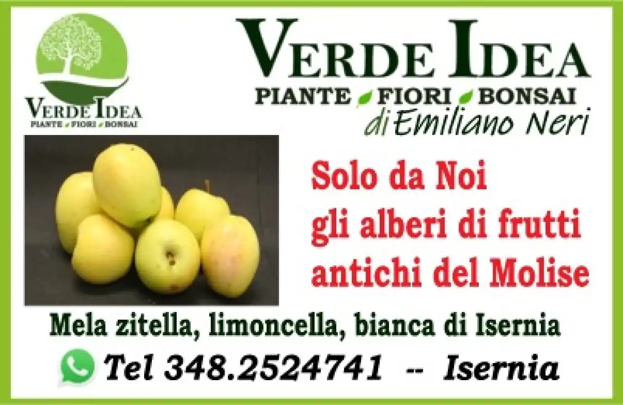 Banner Verde Idea frutti antichi del Molise 306 per 198 pixel